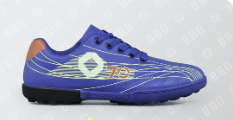 BOTIN 
