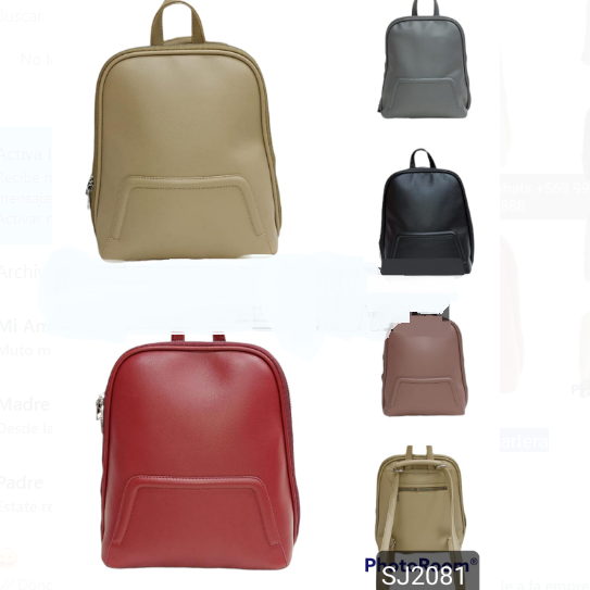 MOCHILA Y CARTERA 