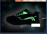 ZAPATILLA