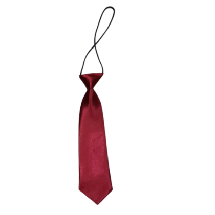 Corbata con Elástico