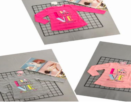 POLERA CON MANGA