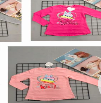 POLERA CON MANGA