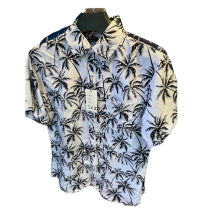 Camisa de Hombre